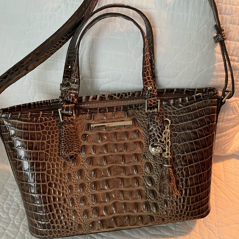 Brahmin brown bag never used